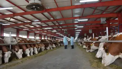 Валерия Бугаева, фото - Новости Zakon.kz от 16.08.2019 09:26