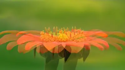 из открытых источников, фото - Новости Zakon.kz от 12.10.2018 15:52