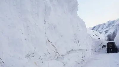 Zakon.kz, фото - Новости Zakon.kz от 25.12.2015 16:34