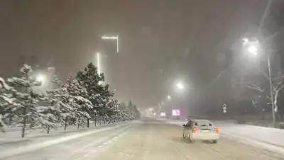 zakon.kz., фото - Новости Zakon.kz от 25.02.2021 08:12