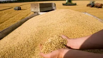 baiginews.kz, фото - Новости Zakon.kz от 08.04.2021 17:01