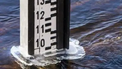 caravan.kz, фото - Новости Zakon.kz от 01.03.2018 13:50