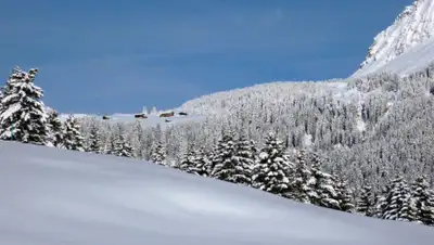 pxhere, фото - Новости Zakon.kz от 13.01.2020 13:08