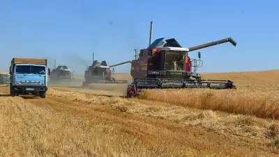 Zakon.kz, фото - Новости Zakon.kz от 06.11.2017 19:14