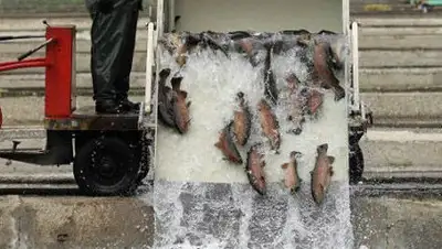 Zakon.kz, фото - Новости Zakon.kz от 24.09.2014 03:40