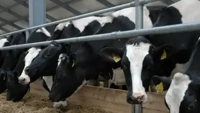 Zakon.kz, фото - Новости Zakon.kz от 25.10.2016 18:14