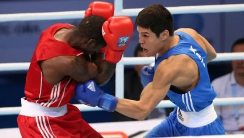 2015-й год станет Годом науки для Казахстанской федерации бокса