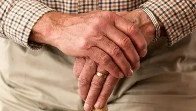 Pixabay, фото - Новости Zakon.kz от 12.04.2019 09:00