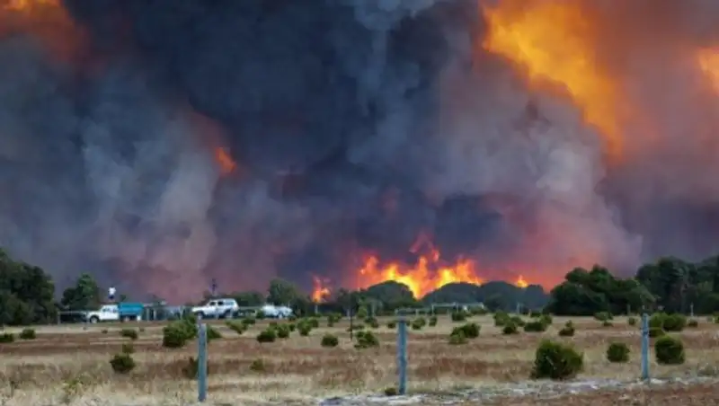 Дым от австралийских пожаров достиг Новой Зеландии
