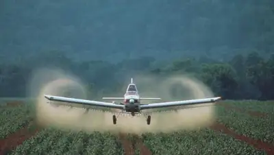 facebook.com/caakaz, фото - Новости Zakon.kz от 07.03.2018 11:37