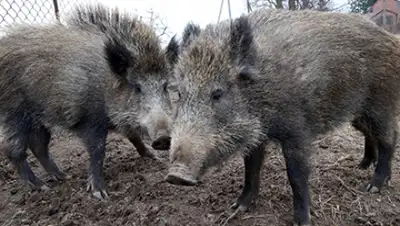 Zakon.kz, фото - Новости Zakon.kz от 14.08.2015 04:00