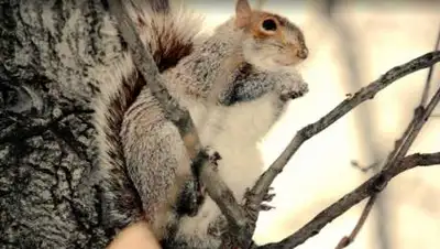 pxhere.com, фото - Новости Zakon.kz от 30.03.2021 15:08