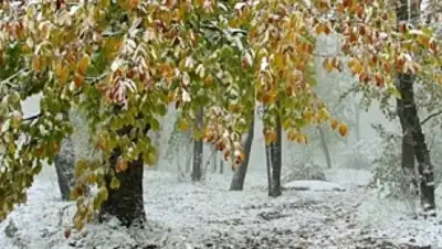 Zakon.kz, фото - Новости Zakon.kz от 30.09.2017 01:38