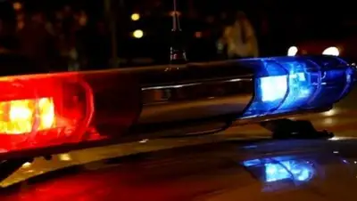 dimgrad24.ru, фото - Новости Zakon.kz от 20.02.2018 07:33