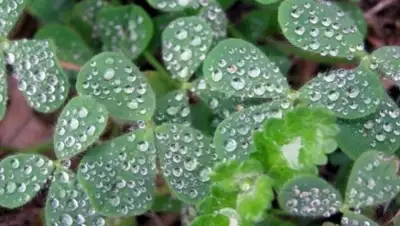 Zakon.kz, фото - Новости Zakon.kz от 02.07.2015 14:47