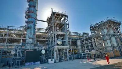 pavlodar.gov.kz, фото - Новости Zakon.kz от 25.04.2020 09:35