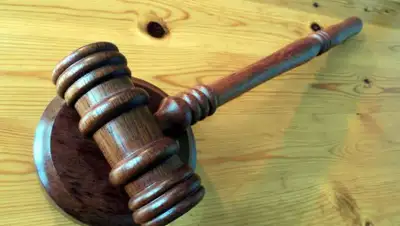 pxhere.com, фото - Новости Zakon.kz от 12.04.2019 12:30