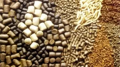 Zakon.kz, фото - Новости Zakon.kz от 12.05.2015 13:57