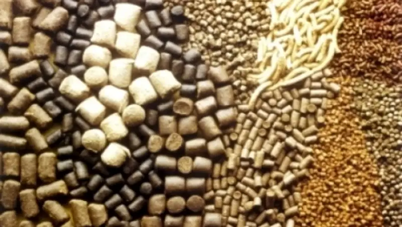 50 тонн корма ежедневно выпускает завод на севере Казахстана