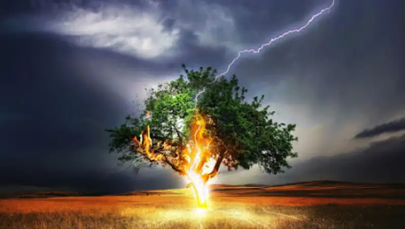 14 июня в Казахстане пройдут дожди с грозами