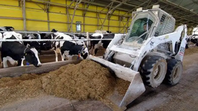 Сельхозпредприятия намерены штрафовать в Казахстане за найм работников без договора