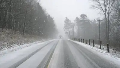 pixabay, фото - Новости Zakon.kz от 04.02.2019 08:24