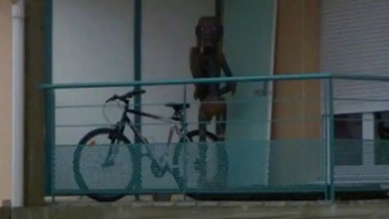 Google скрыл от пользователей фотографию неизвестного существа