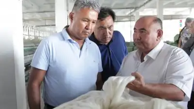 Zakon.kz, фото - Новости Zakon.kz от 07.08.2017 17:19