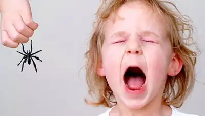 Zakon.kz, фото - Новости Zakon.kz от 21.10.2017 15:31