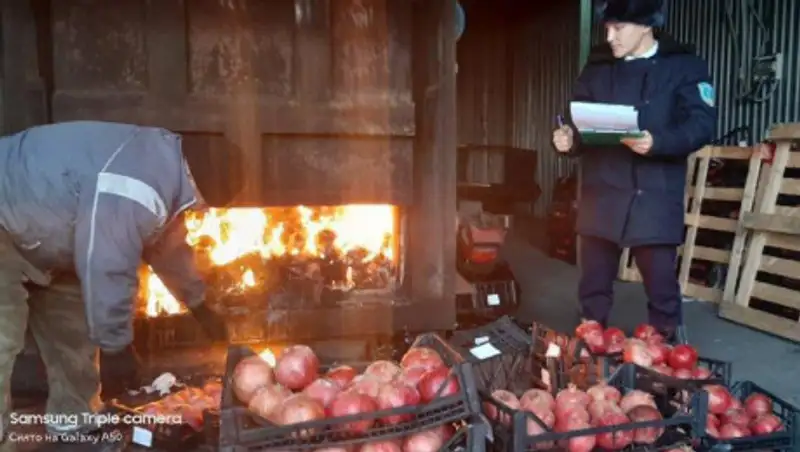 Тонны турецких гранатов сожгли в Нур-Султане