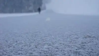 pixabay, фото - Новости Zakon.kz от 04.03.2019 08:16