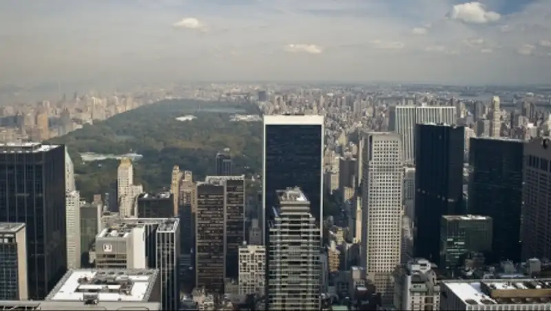 В США белые американцы к середине 2040-х могут стать нацменьшинством