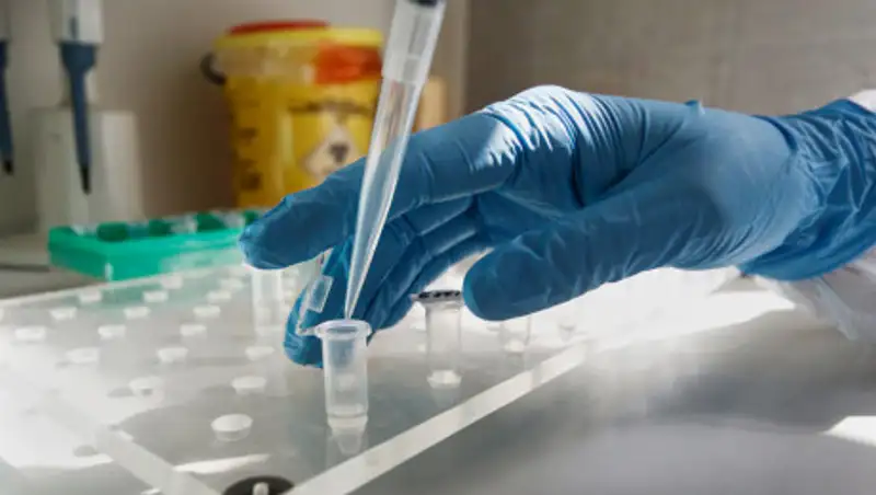 Казахстанские справки о сдаче теста на коронавирус недействительны за рубежом