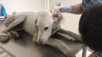 Facebook, фото - Новости Zakon.kz от 28.08.2018 14:42