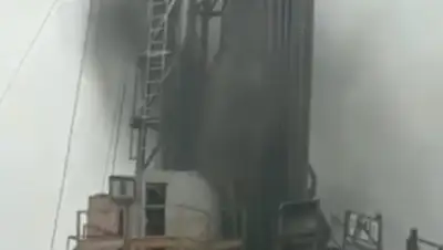 кадр видео, фото - Новости Zakon.kz от 15.03.2019 11:37