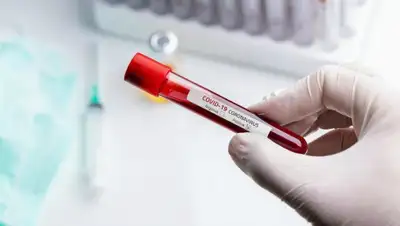 elorda.info, фото - Новости Zakon.kz от 11.06.2020 12:54