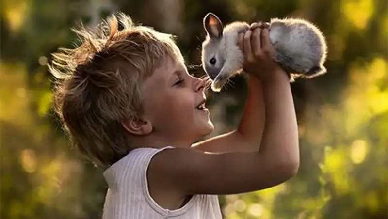 Лето в деревне