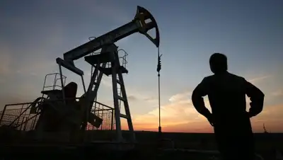 Zakon.kz, фото - Новости Zakon.kz от 07.07.2016 17:39