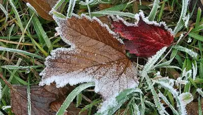 Культурометр Одессы, фото - Новости Zakon.kz от 14.09.2018 00:23