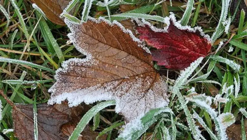 В нескольких областях Казахстана объявлено штормовое предупреждение