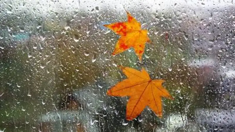 В Казахстане ожидаются дожди