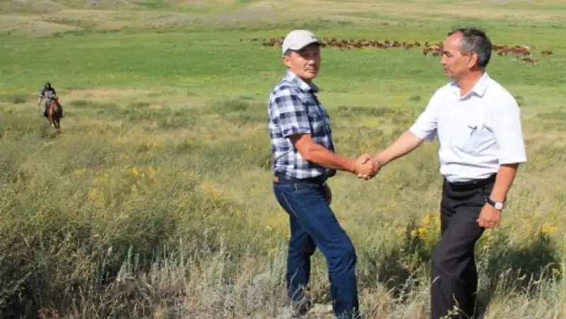 Сельхозтоваропроизводители ВКО получили 9 млрд тенге господдержки