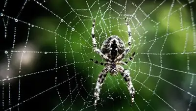 Zakon.kz, фото - Новости Zakon.kz от 05.05.2017 05:57