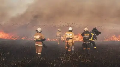 тушение сухостоя, фото - Новости Zakon.kz от 19.09.2022 18:13