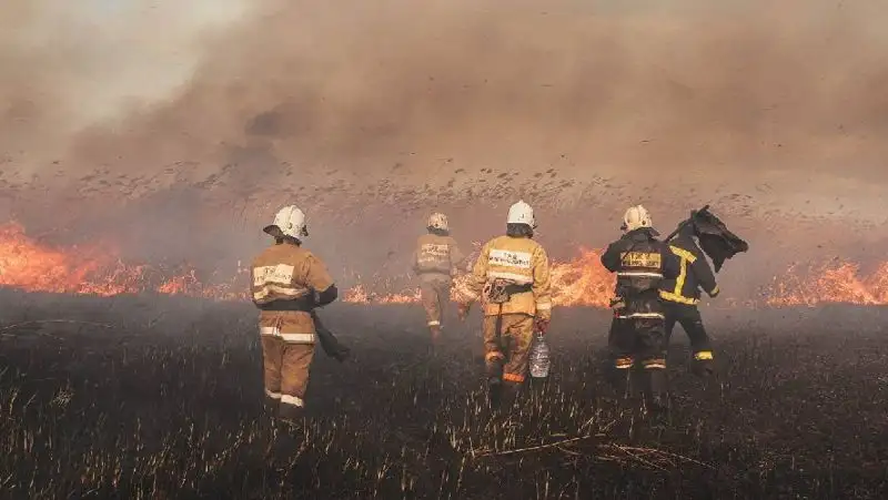 Рядом с поселком в Павлодарской области произошел крупный пожар