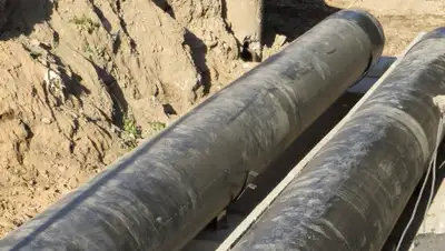 Zakon.kz, фото - Новости Zakon.kz от 10.06.2020 11:04