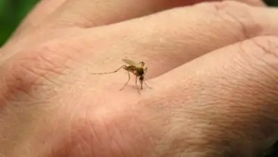 Zakon.kz, фото - Новости Zakon.kz от 05.02.2016 23:37