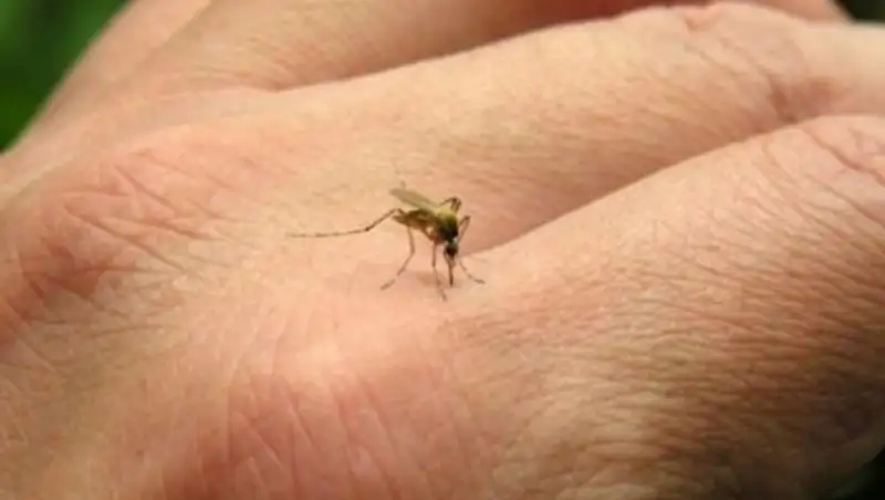 ООН призвала страны снять ограничения на аборты в связи с вирусом Зика