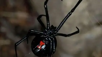 Zakon.kz, фото - Новости Zakon.kz от 17.07.2014 17:39