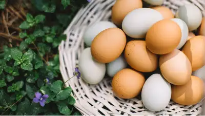 Проверить на свежесть, три способа, нутрициолог, фото - Новости Zakon.kz от 20.04.2022 11:35